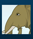 Elephant Illustration, Flash Illustration in Pune